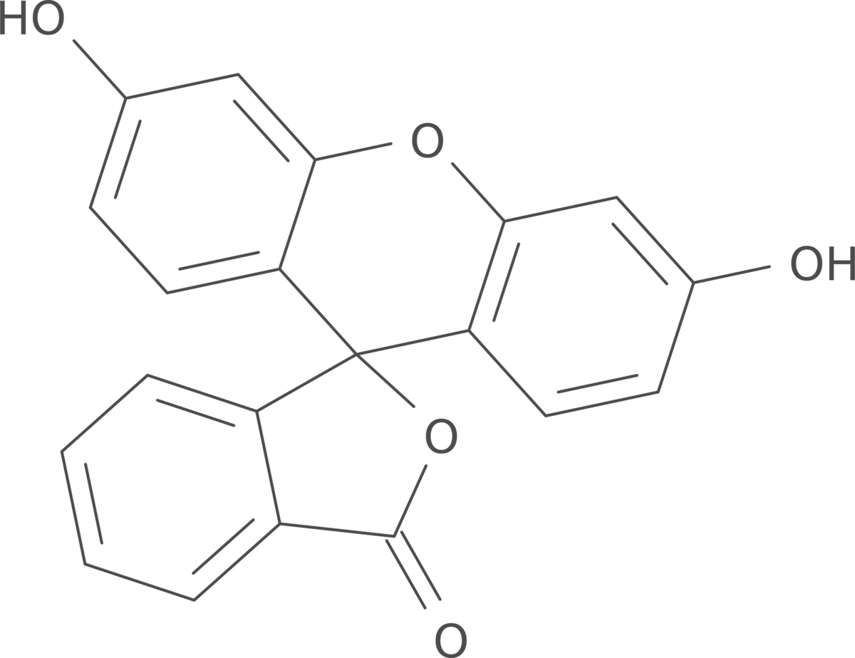 fluorescein