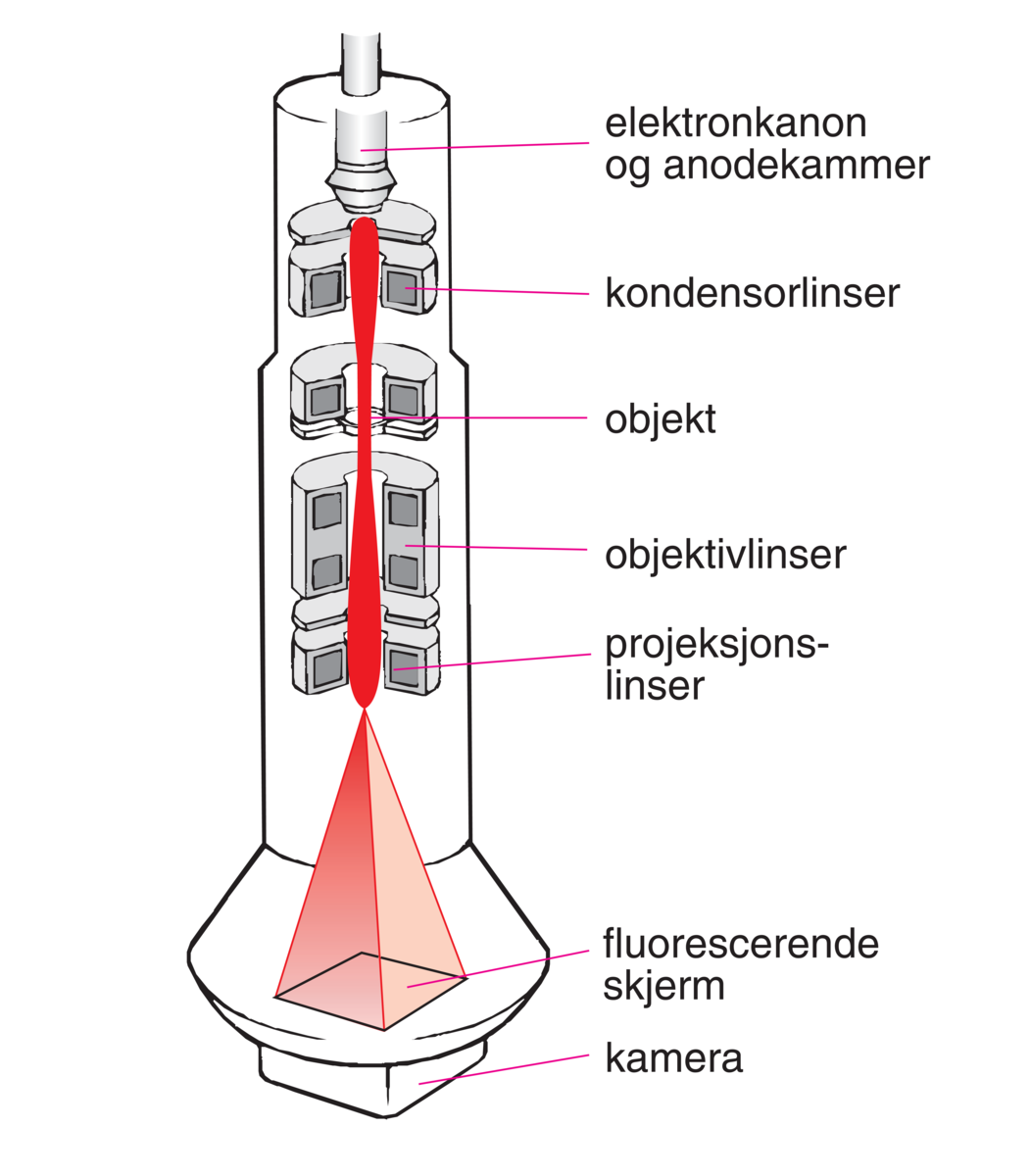 Elektronmikroskop (transmisjons-)