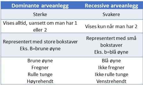 Dominante og recessive arveanlegg