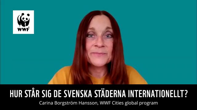 Intervju-med-Carina-Borgström_Hansson_2022_startbild