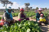 Signature d’un MoU entre le Programme alimentaire mondial et Agreenium