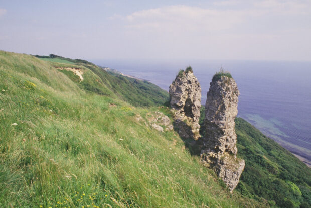 Image shows two geological mounds of tall craggy rocks standing on the edge of a grassy cliff. The sea can be seen in the distance. The area is Axmouth To Lyme Regis Under Cliffs Site of Special Scientific Interest