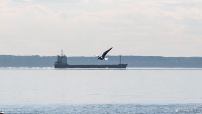 В Суэцком канале столкнулись два танкера с СПГ