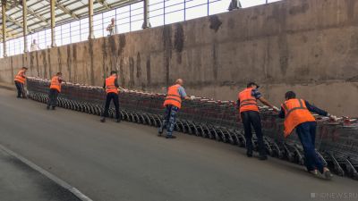 В одиннадцати российских регионах будет сокращена доля гастарбайтеров