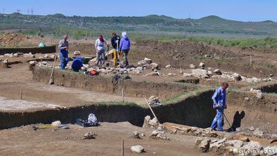 Останки древнего кита обнаружили на Кавказе