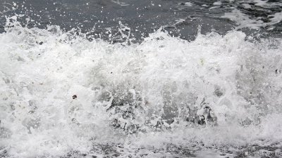 Человек пропал без вести при опрокидывании буксира в Карском море