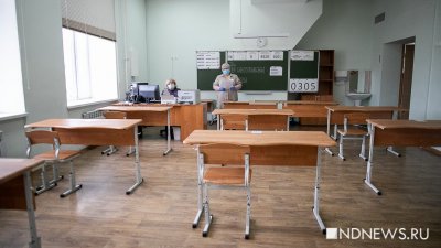 У свердловских школьников снизились оценки на экзаменах по русскому языку и литературе