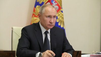 Путин поручил Минсельхозу поддержать аграриев, пострадавших от заморозков