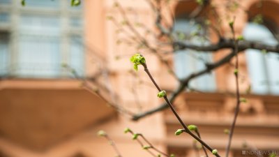 Синоптики прогнозируют Москве дождливое потепление