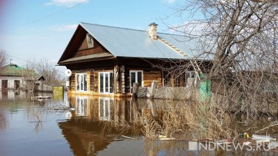 Ежегодный ущерб от стихийных бедствий в России оценили в 60 млрд рублей
