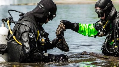 Россиянка пропала во время дайвинг-тура в Хургаде