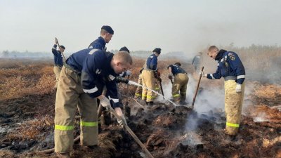 Торфяник под Екатеринбургом тушат уже 200 человек (ФОТО)