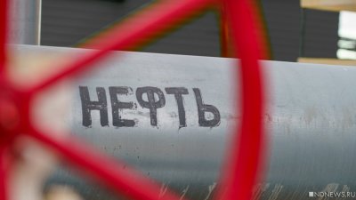 В Ленобласти обезвредили бомбу на нефтепроводе