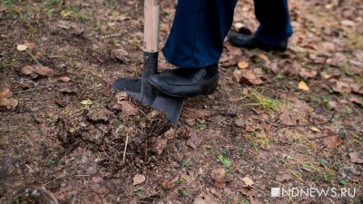 Под Красноярском нашли останки пропавших 22 года назад девушек