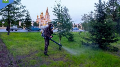 В Надыме парки и улицы обрызгали от комаров и мошек