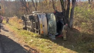 В Приморье в стационар попали 29 туристов из перевернувшегося автобуса