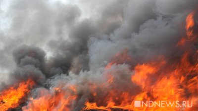 В Пакистане пятеро японцев пережили атаку террориста-смертника