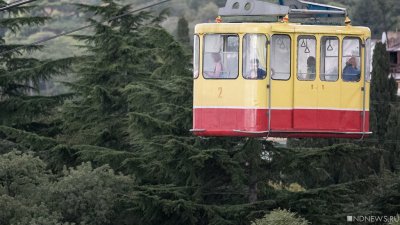 В Крыму ради туристического аттракциона вырубают заповедный лес