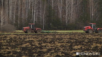 Уральские аграрии уже посеяли 80% яровых