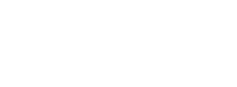 Акционерное общество «Судоходная компания «Волжское пароходство»