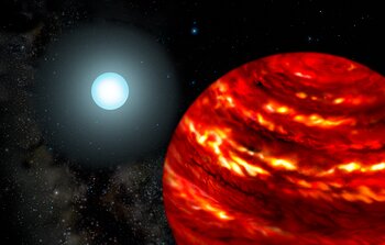 Gas-Giant Exoplanets Cling Close to Their Parent Stars