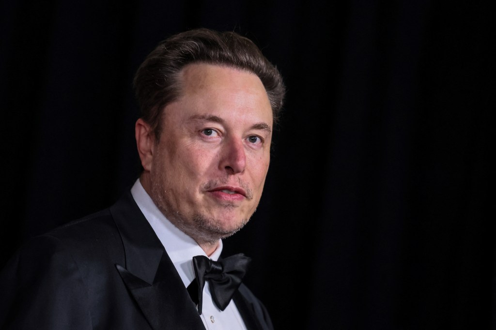 Tesla CEO Elon Musk pledged that his electric vehicle maker would roll out a more affordable model next year.
