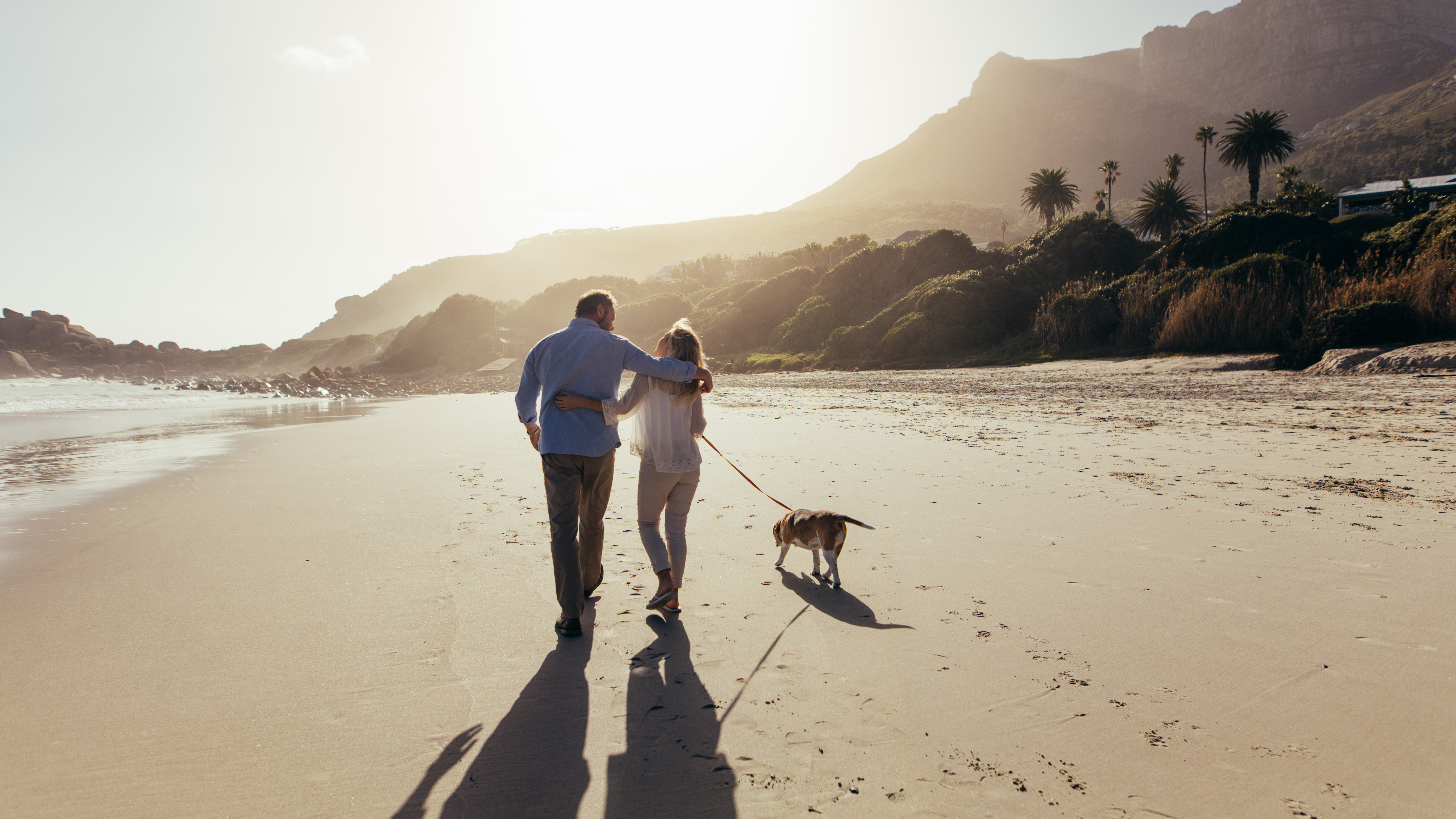 A rear view of a mature couple strolling with their dog on the beach