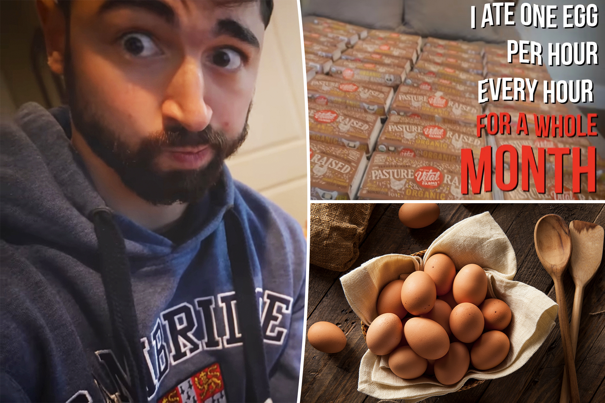 Harvard medical student ate over 700 eggs in a month — with surprising results