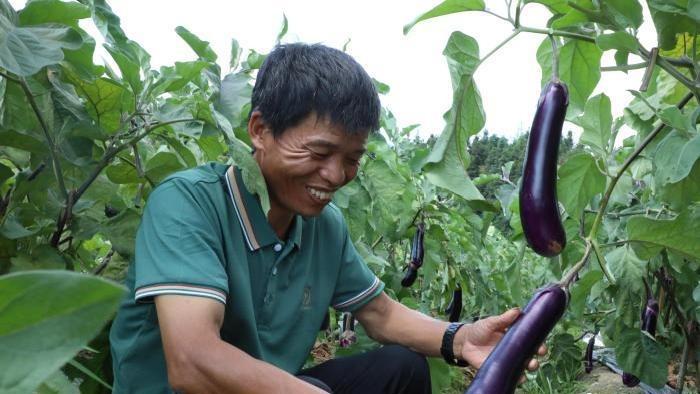 „Neuer Landwirt“ aus Lanshan fördert Einkommen von Dorfbewohnern