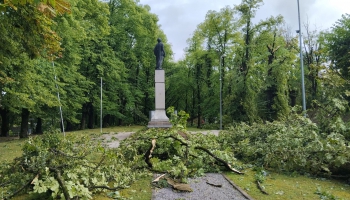 Bauskā turpina novērst vētras radītos postījumus, visvairāk cietusi pilsētas zaļā zona