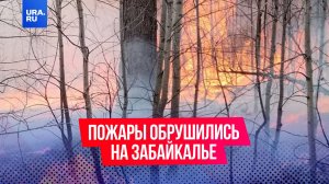 «Все, пламя»: Забайкалье накрыла волна лесных пожаров