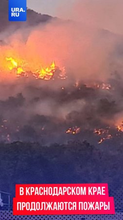 В Краснодарском крае продолжается мощный лесной пожар