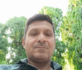 Harish, 38 лет, Surat