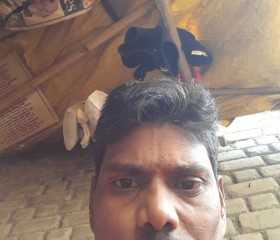 Brijesh kesarwan, 42 года, New Delhi