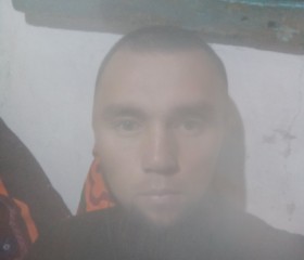 Роман, 25 лет, Бишкек