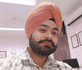 Divjot singh, 25 лет, Delhi