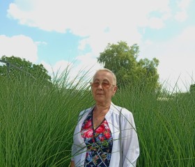 АНЮТА, 65 лет, Брянск