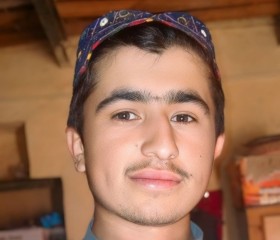 Pervaiz khan, 20 лет, فیصل آباد