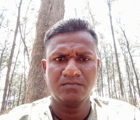 Jay Kumar halpat, 38 лет, Daman