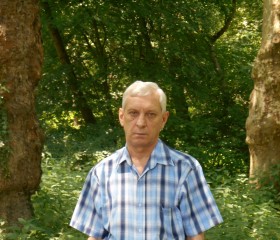 Виктор Нойманн, 69 лет, Ettlingen