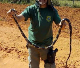 Cosme, 65 лет, Goiânia