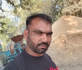 Veersingh, 35 лет, New Delhi