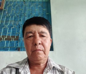 Thành son, 56 лет, Thành phố Hồ Chí Minh