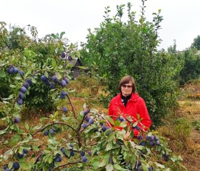 Ирина, 64 года, Горад Мінск