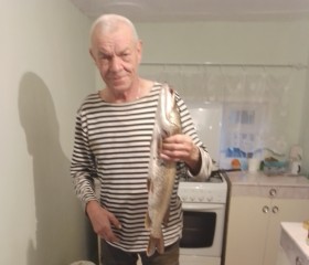 Николай, 63 года, Рэчыца