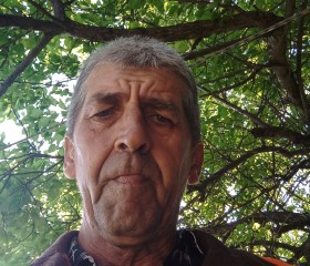 Андрей, 58 лет, Краснодар