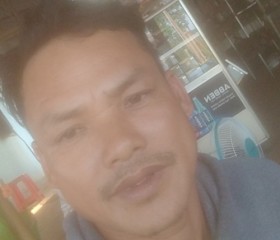 Tran tuan, 39 лет, Pleiku