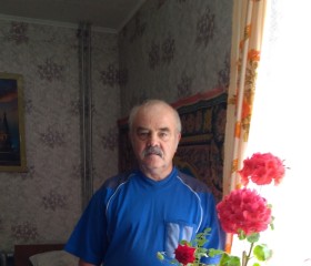 Анатолий Шалаев, 68 лет, Чусовой