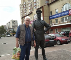 Василий, 65 лет, Москва