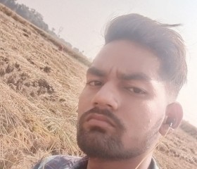 Dharmvir Kumar, 19 лет, Daudnagar